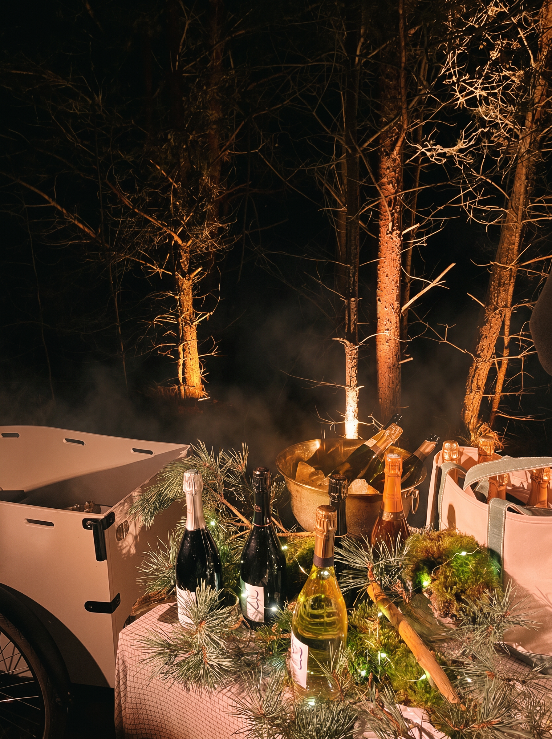 Luxury gala event with stage lighting